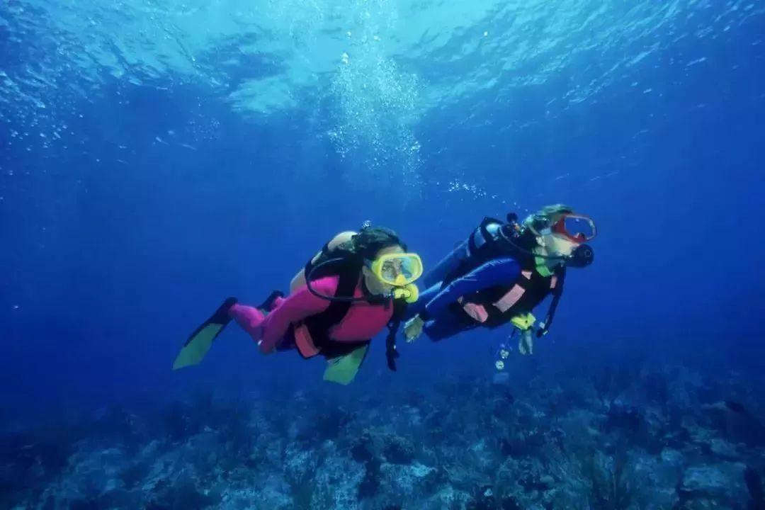 海南今年加强立法供给 保障自贸港封关运作准备