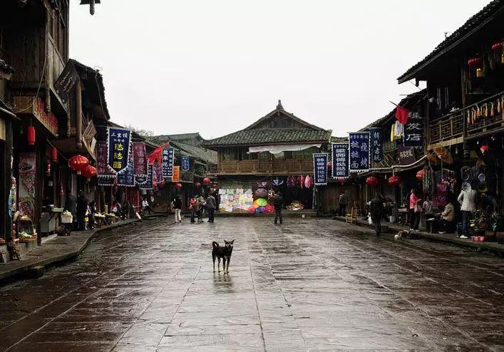 黎明杀机